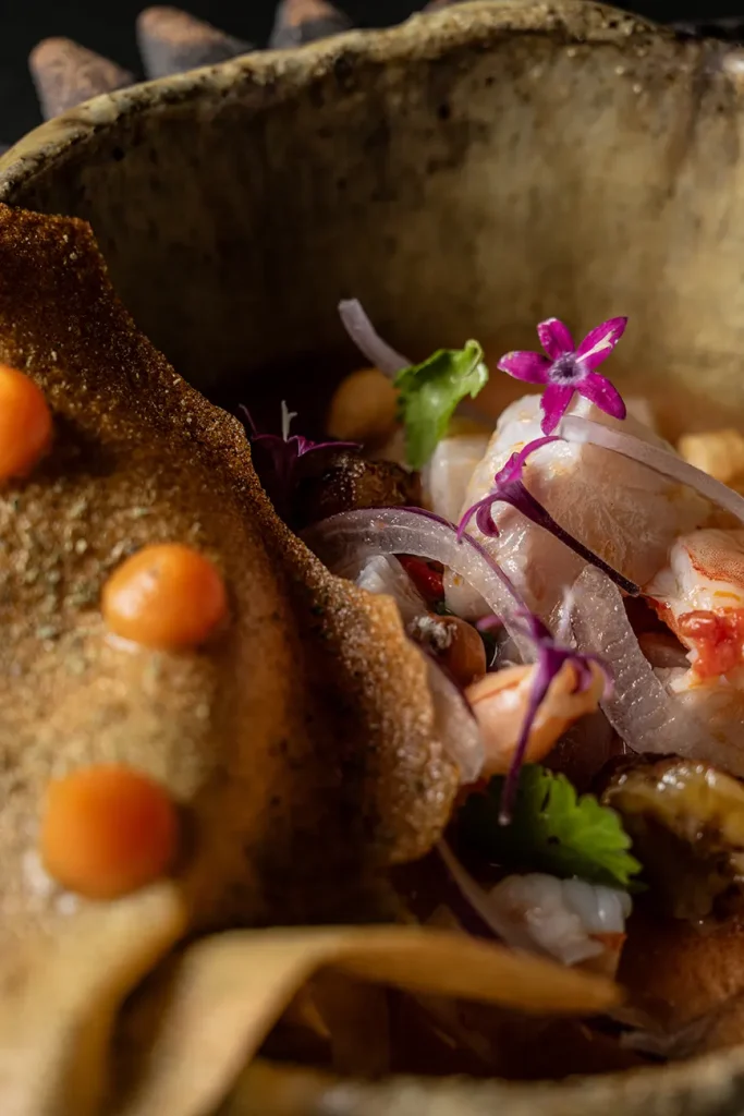 Maymanta - Ceviche mixto _ Leche de tigre de erizo